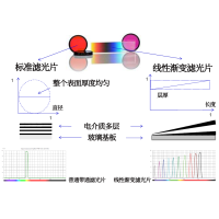 線性漸變?yōu)V光片是什么？有何特點？
