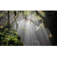 光的干涉、衍射、折射、反射、散射
